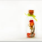 ハーバリウムキットが安い！楽天の激安スターターキットはこちら